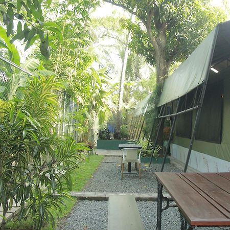 Traveler'S Haven Hostel At Colombo Intl Airport Katunayaka Ngoại thất bức ảnh