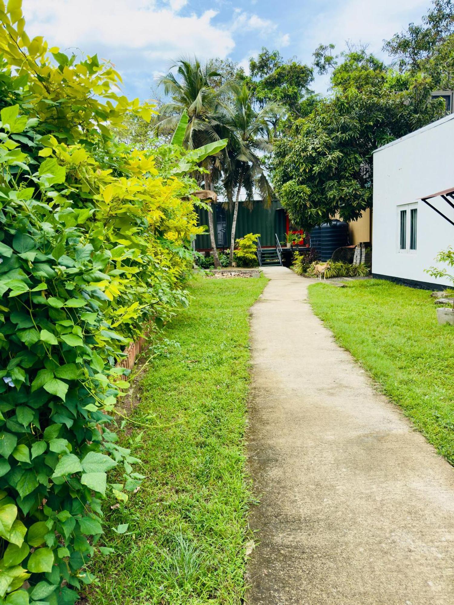 Traveler'S Haven Hostel At Colombo Intl Airport Katunayaka Ngoại thất bức ảnh